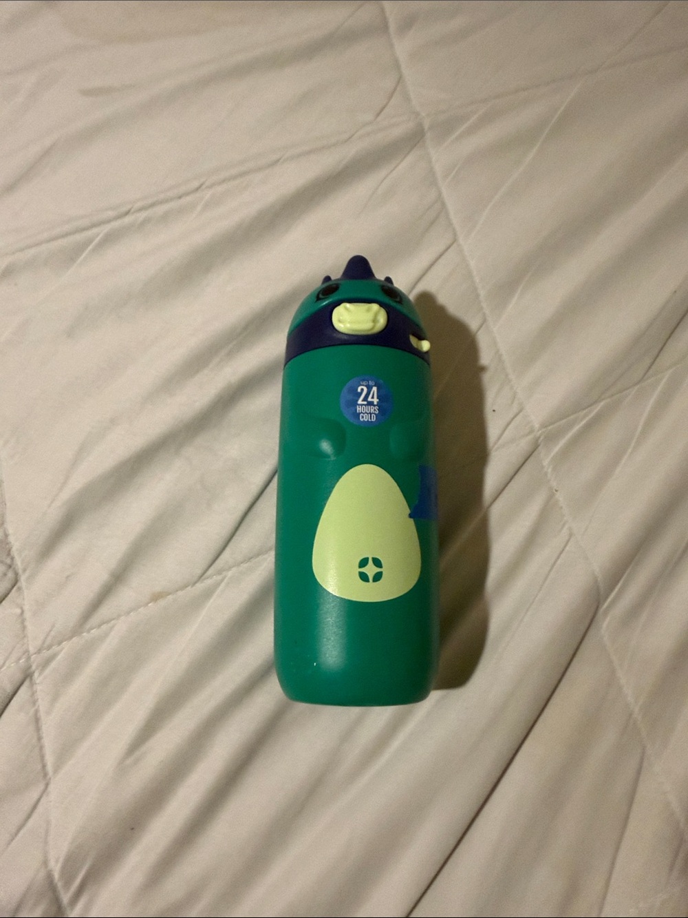 Kids Green Dino-Sipper Insulated Water Bottle